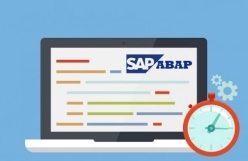 Backend ABAP/JAVA vývojár/ka